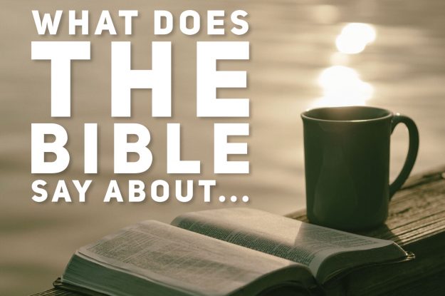 Competence 1 – – World View